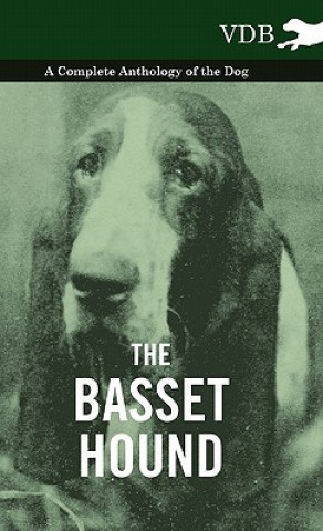 Kniha Basset Hound - A Complete Anthology of the Dog - Various (selected by the Federation of Children's Book Groups)