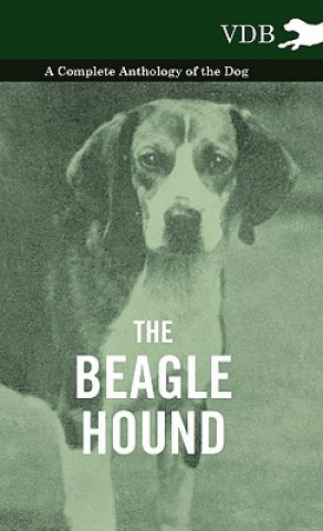 Könyv Beagle Hound - A Complete Anthology of the Dog - Various (selected by the Federation of Children's Book Groups)