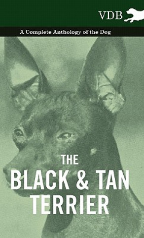 Könyv Black And Tan Terrier - A Complete Anthology of the Dog - Various (selected by the Federation of Children's Book Groups)