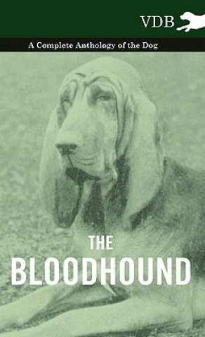 Knjiga Bloodhound - A Complete Anthology of the Dog - Various (selected by the Federation of Children's Book Groups)