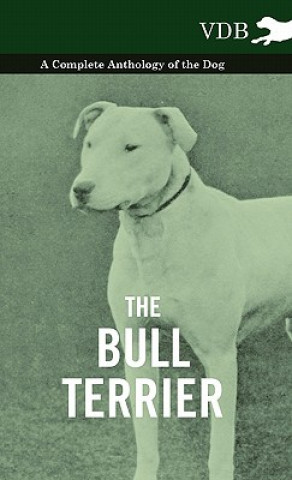 Könyv Bull Terrier - A Complete Anthology of the Dog - Various (selected by the Federation of Children's Book Groups)