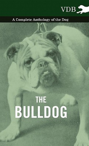 Buch Bulldog - A Complete Anthology of the Dog - Various (selected by the Federation of Children's Book Groups)