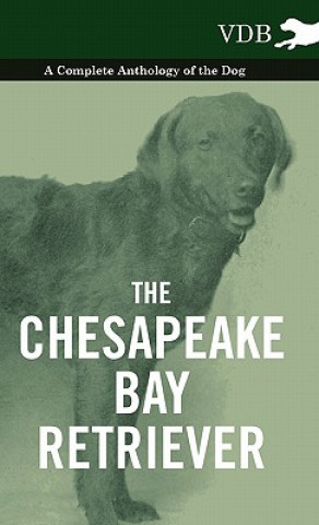 Kniha Chesapeake Bay Retriever - A Complete Anthology of the Dog - Various (selected by the Federation of Children's Book Groups)