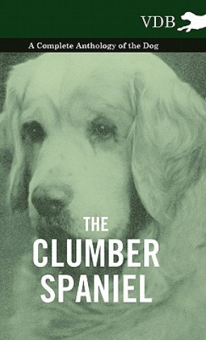 Kniha Clumber Spaniel - A Complete Anthology of the Dog - Various (selected by the Federation of Children's Book Groups)