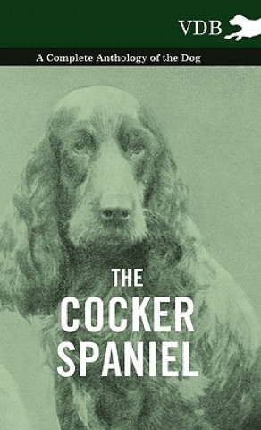 Kniha Cocker Spaniel - A Complete Anthology of the Dog - Various (selected by the Federation of Children's Book Groups)