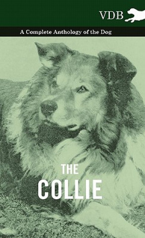 Книга Collie - A Complete Anthology of the Dog - Various (selected by the Federation of Children's Book Groups)