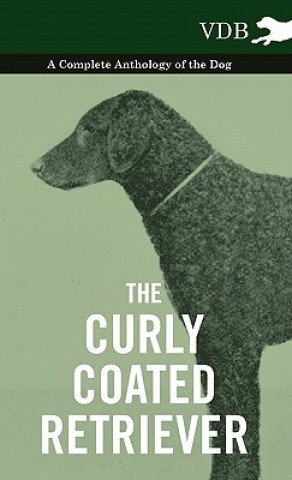 Książka Curly Coated Retriever - A Complete Anthology of the Dog - Various (selected by the Federation of Children's Book Groups)