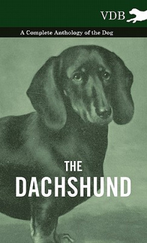 Carte Dachshund - A Complete Anthology of the Dog - Various (selected by the Federation of Children's Book Groups)