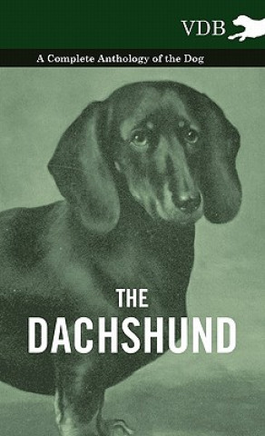 Buch Dachshund - A Complete Anthology of the Dog - Various (selected by the Federation of Children's Book Groups)