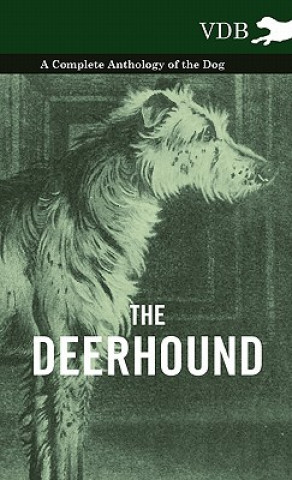 Kniha Deerhound - A Complete Anthology of the Dog - Various (selected by the Federation of Children's Book Groups)