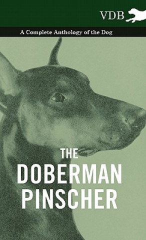 Carte Doberman Pinscher - A Complete Anthology of the Dog - Various (selected by the Federation of Children's Book Groups)