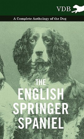 Könyv English Springer Spaniel - A Complete Anthology of the Dog Various (selected by the Federation of Children's Book Groups)