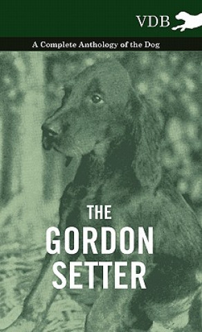 Carte Gordon Setter - A Complete Anthology of the Dog Various (selected by the Federation of Children's Book Groups)