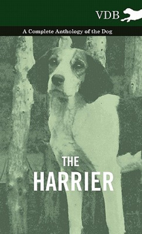 Libro Harrier - A Complete Anthology of the Dog Various (selected by the Federation of Children's Book Groups)