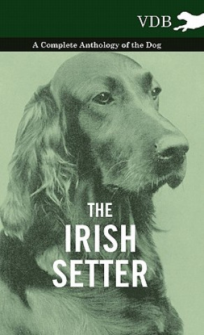 Книга Irish Setter - A Complete Anthology of the Dog Various (selected by the Federation of Children's Book Groups)