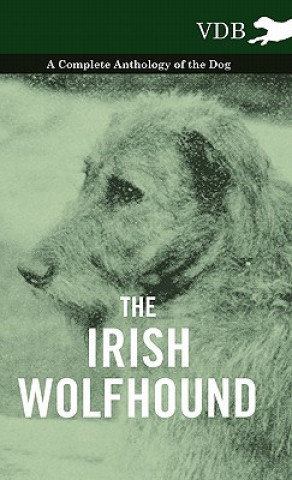 Carte Irish Wolfhound - A Complete Anthology of the Dog Various (selected by the Federation of Children's Book Groups)
