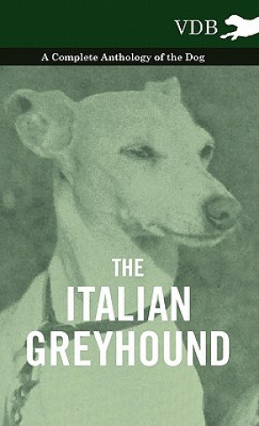 Carte Italian Greyhound - A Complete Anthology of the Dog Various (selected by the Federation of Children's Book Groups)