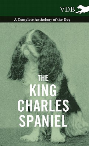 Książka King Charles Spaniel - A Complete Anthology of the Dog Various (selected by the Federation of Children's Book Groups)