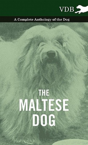 Kniha Maltese Dog A Complete Anthology of the Dog Various (selected by the Federation of Children's Book Groups)