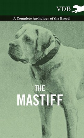 Livre Mastiff - A Complete Anthology of the Breed Various (selected by the Federation of Children's Book Groups)