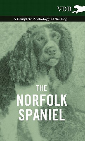 Carte Norfolk Spaniel - A Complete Anthology of the Dog Various (selected by the Federation of Children's Book Groups)