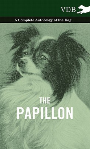 Kniha Papillon - A Complete Anthology of the Dog Various (selected by the Federation of Children's Book Groups)