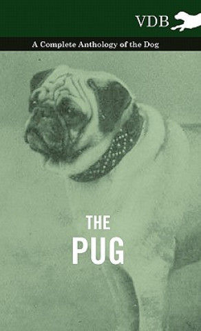 Książka Pug - A Complete Anthology of the Dog Various (selected by the Federation of Children's Book Groups)