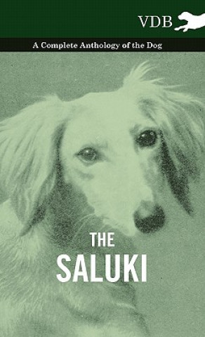 Carte Saluki - A Complete Anthology of the Dog Various (selected by the Federation of Children's Book Groups)