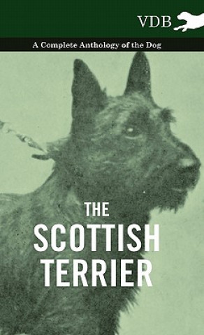 Kniha Scottish Terrier - A Complete Anthology of the Dog Various (selected by the Federation of Children's Book Groups)