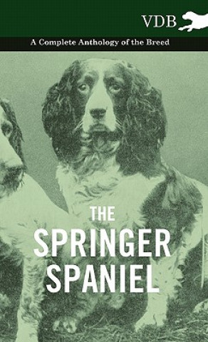Carte Springer Spaniel - A Complete Anthology of the Breed Various (selected by the Federation of Children's Book Groups)