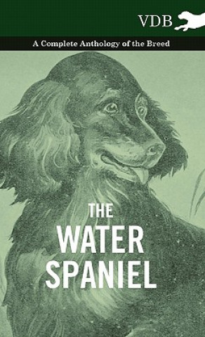 Книга Water Spaniel - A Complete Anthology of the Breed Various (selected by the Federation of Children's Book Groups)
