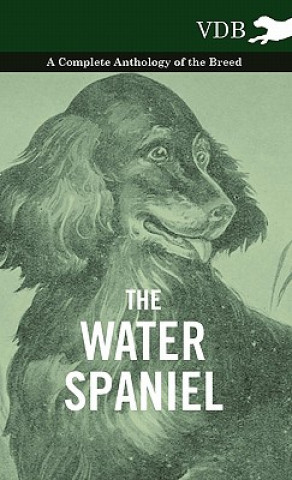 Kniha Water Spaniel - A Complete Anthology of the Breed Various (selected by the Federation of Children's Book Groups)