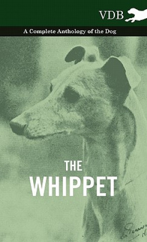 Book Whippet - A Complete Anthology of the Dog Various (selected by the Federation of Children's Book Groups)