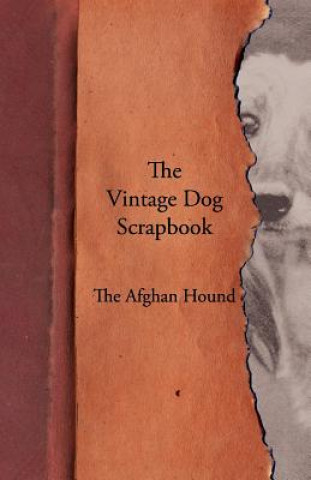 Книга Vintage Dog Scrapbook - The Afghan Hound Various