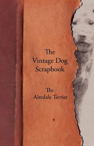 Kniha Vintage Dog Scrapbook - The Airedale Terrier Various