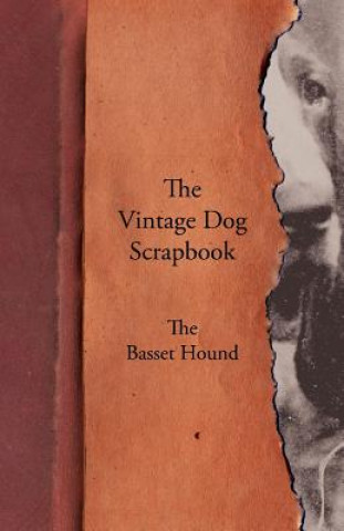 Książka Vintage Dog Scrapbook - The Basset Hound Various