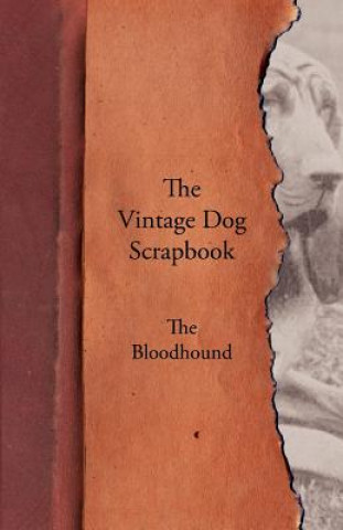 Knjiga Vintage Dog Scrapbook - The Bloodhound Various