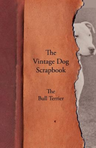 Book Vintage Dog Scrapbook - The Bull Terrier Various