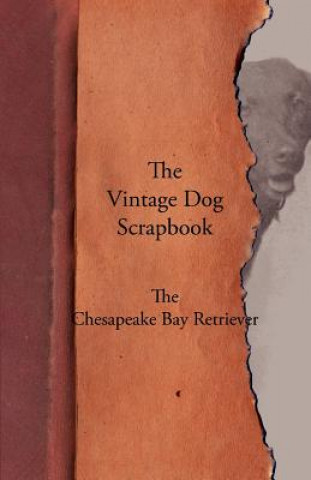 Buch Vintage Dog Scrapbook - The Chesapeake Bay Retriever Various