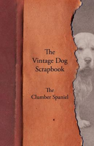 Carte Vintage Dog Scrapbook - The Clumber Spaniel Various