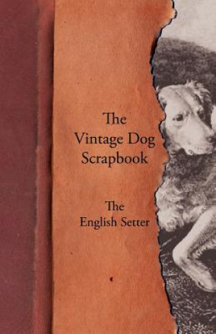 Carte Vintage Dog Scrapbook - The English Setter Various