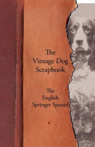 Carte Vintage Dog Scrapbook - The English Springer Spaniel Various