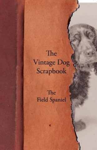 Kniha Vintage Dog Scrapbook - The Field Spaniel Various