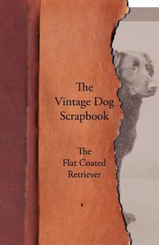 Kniha Vintage Dog Scrapbook - The Flat Coated Retriever Various