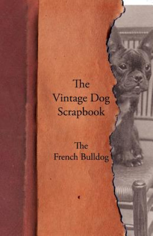 Könyv Vintage Dog Scrapbook - The French Bulldog Various