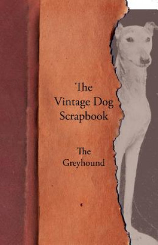 Kniha Vintage Dog Scrapbook - The Greyhound Various