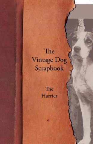 Libro Vintage Dog Scrapbook - The Harrier Various