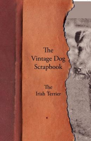 Carte Vintage Dog Scrapbook - The Irish Terrier Various