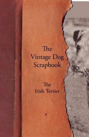 Книга Vintage Dog Scrapbook - The Irish Terrier Various