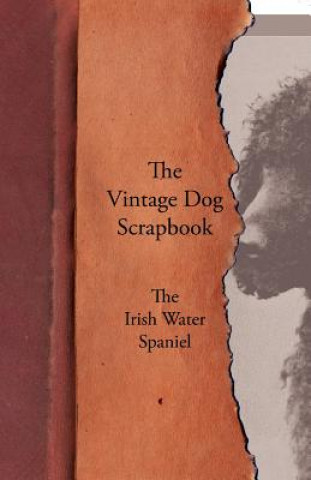 Kniha Vintage Dog Scrapbook - The Irish Water Spaniel Various